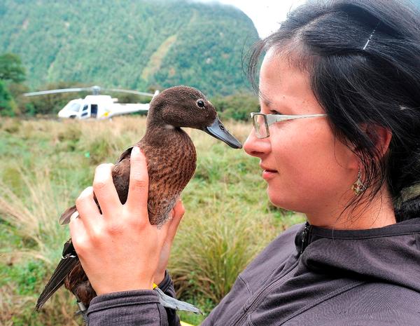 Emma Cournane (from Peacock Springs) up close and personal with a Teal